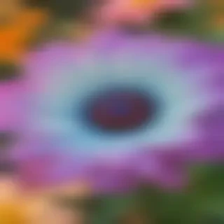 flower wallpaper iphone