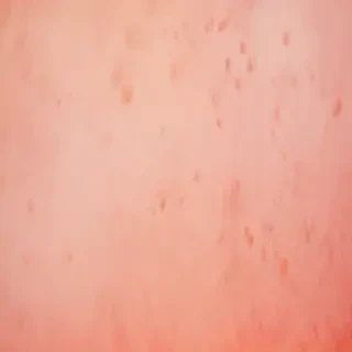 peachy backgrounds