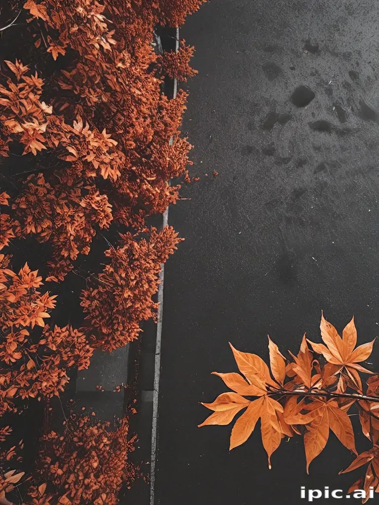 fall aesthetic wallpaper iphone