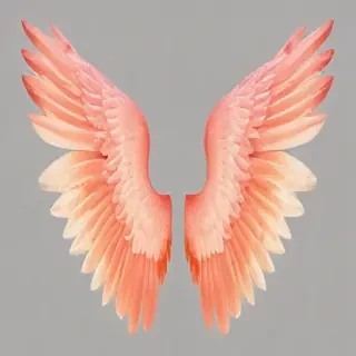 wings transparent
