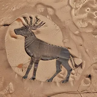 petroglyph
