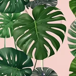aesthetic monstera wallpaper