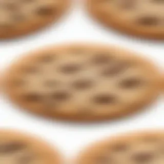 chocolate chip cookie png