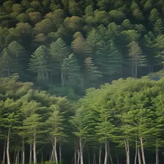 background trees