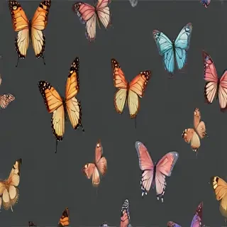 butterfly background transparent