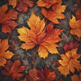 fall wallpaper for iphone