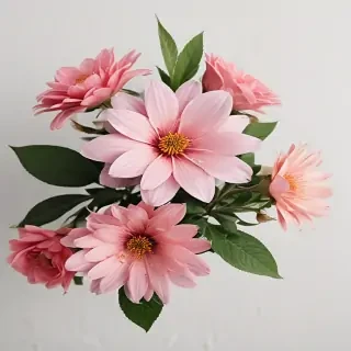 flowers with no background
