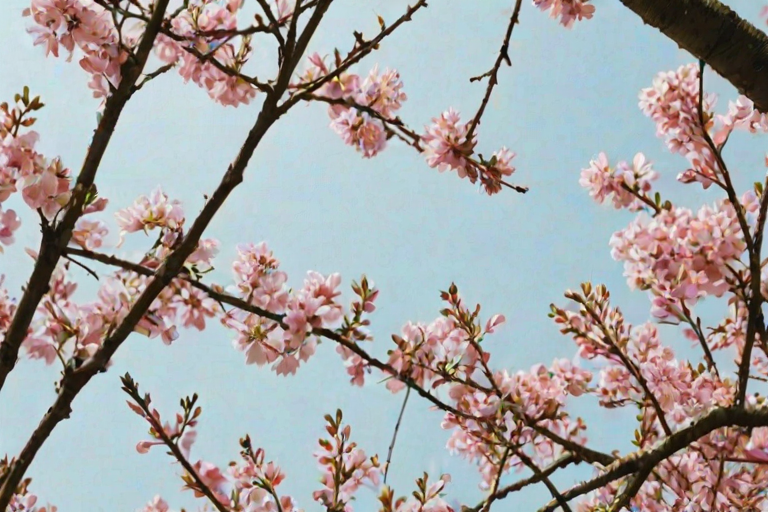 aesthetic wallpaper spring