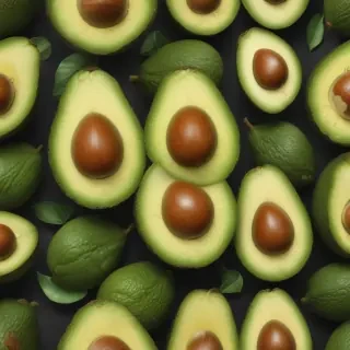 avocado drawing