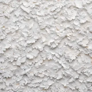 white background wallpaper