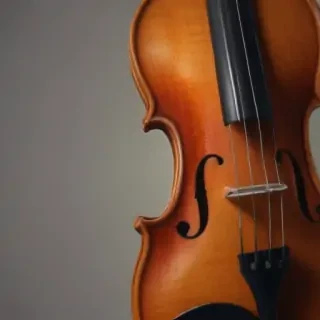 violin png