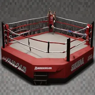 boxing ring png