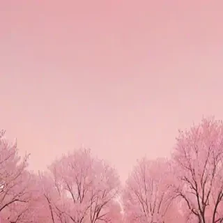 pastel pink aesthetic wallpaper