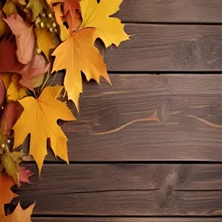 iphone backgrounds fall
