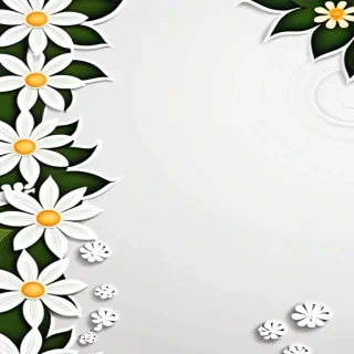 flower background white