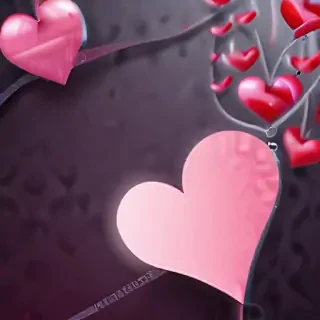 valentines backgrounds
