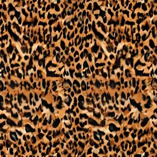 leopard print png