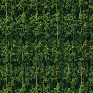 trees background