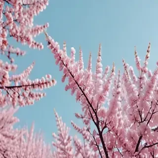 spring backgrounds aesthetic