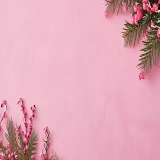 pink christmas background