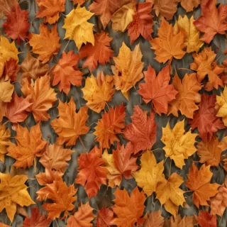 fall leaves png
