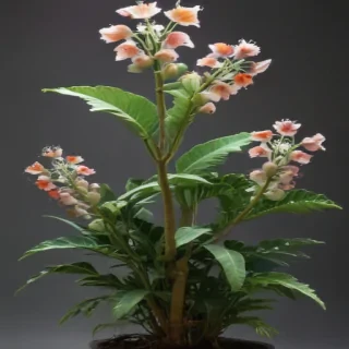 plant no background