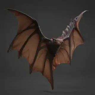 bat wings png