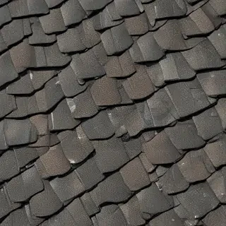 pictures of shingles