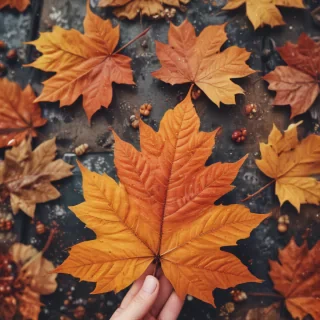 cute fall iphone wallpaper