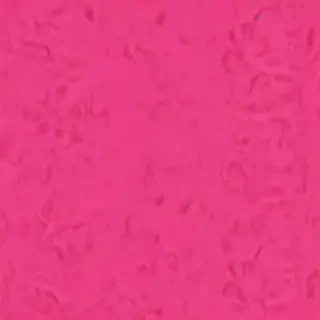 hot pink background
