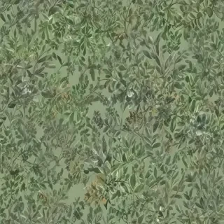 aesthetic sage green