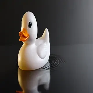 rubber duck png
