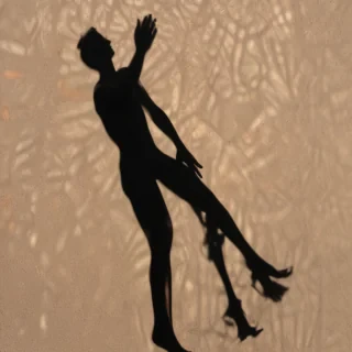 shadow transparent