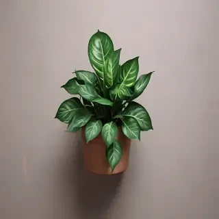 plant phone wallpaper
