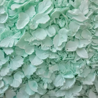 mint green aesthetic