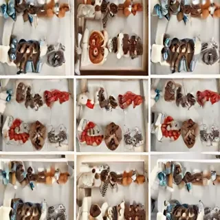 pinterest images