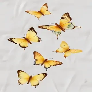 butter flies png