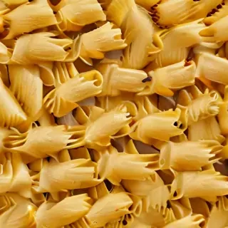 pasta png