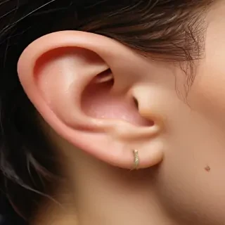ear png