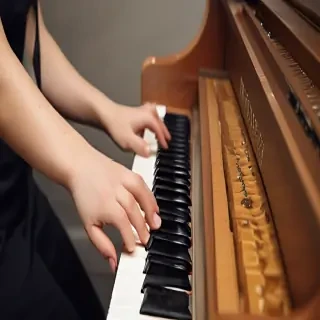 pianist png