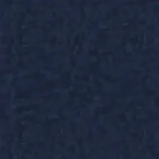 navy blue bg