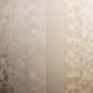 neutral backgrounds