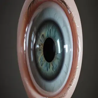 eye ball png