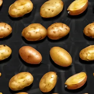 potato transparent background