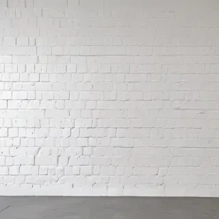 white wall paper