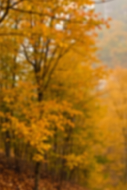 fall background iphone