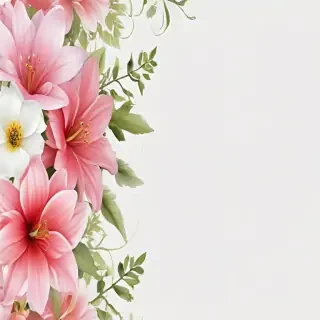 flower border transparent