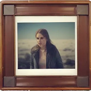 polaroid picture frame png