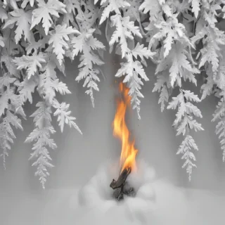 white gray background