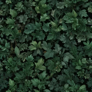 dark green bg